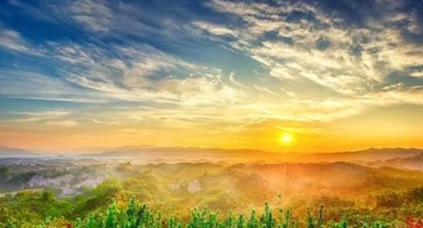 热点企划局 - 大象传媒在线入口 - 品牌借势热点创意参考专区